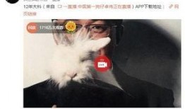 湛江渣男爆料出轨视频,一场背叛与背叛的较量
